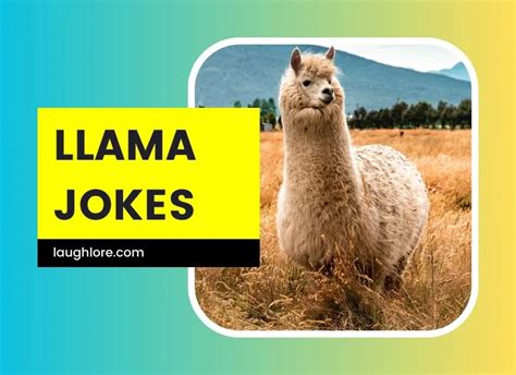 Need a laugh? Llama tell you a joke!